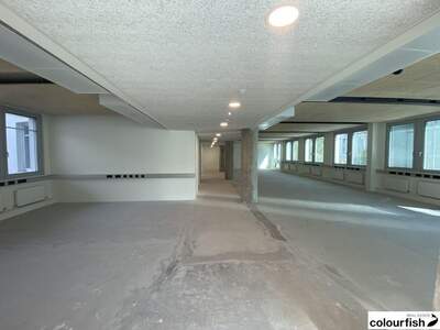 Gewerbeobjekt mieten in 1020 Wien (Bild 3)