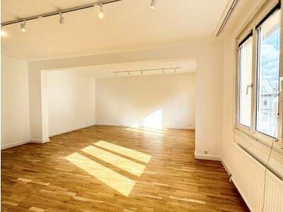 Terrassenwohnung kaufen in 1200 Wien (Bild 3)