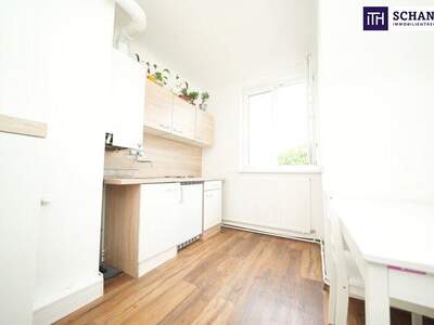 Wohnung kaufen in 1110 Wien (Bild 4)