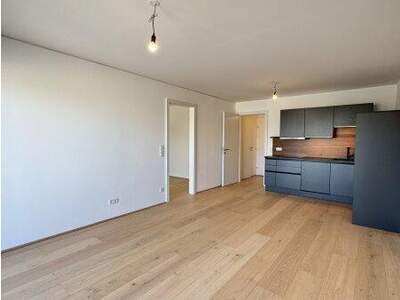 Terrassenwohnung kaufen in 1210 Wien (Bild 4)