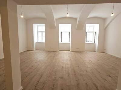 Gewerbeobjekt mieten in 1090 Wien
