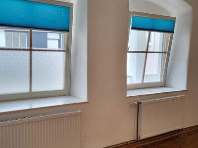 Terrassenwohnung mieten in 3500 Krems (Bild 4)