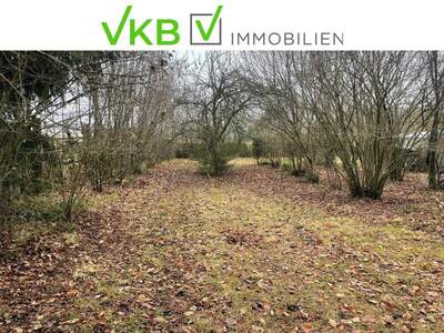 Grundstück kaufen in 4211 Spattendorf