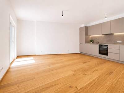 Wohnung kaufen in 2500 Baden