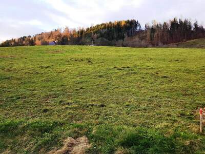 Grundstück kaufen in 9112 Griffen