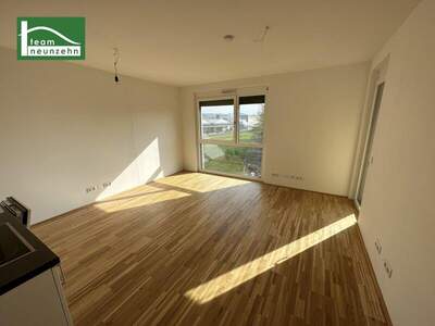 Terrassenwohnung mieten in 8020 Graz (Bild 1)