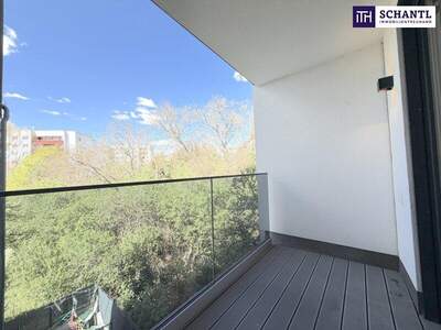 Terrassenwohnung kaufen in 1220 Wien (Bild 2)