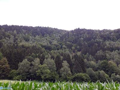 Gewerbeobjekt kaufen in 9873 Radenthein