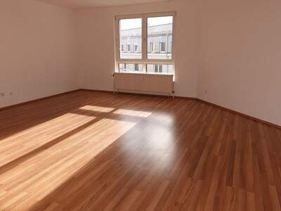 Apartment provisionsfrei mieten in 1100 Wien