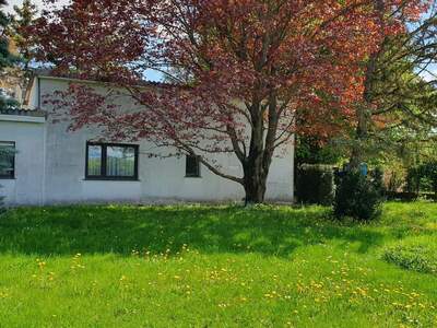 Einfamilienhaus kaufen in 1220 Wien (Bild 1)