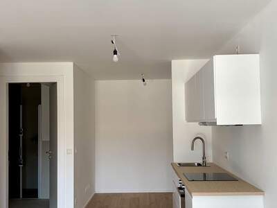 Apartment provisionsfrei mieten in 1130 Wien