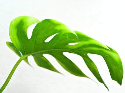 Wohnung kaufen in 6063 Rum