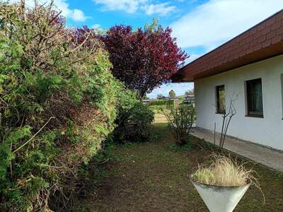 Haus mit Garten kaufen in 7061 Trausdorf (Bild 2)