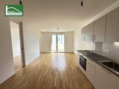 Terrassenwohnung mieten in 1220 Wien (Bild 3)