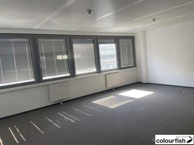 Gewerbeobjekt mieten in 1020 Wien (Bild 4)