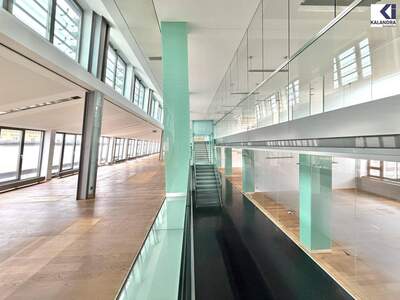 Gewerbeobjekt mieten in 1010 Wien