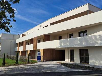 Büro / Praxis kaufen in 7100 Neusiedl (Bild 3)