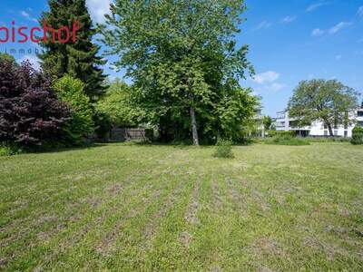 Grundstück kaufen in 6971 Hard