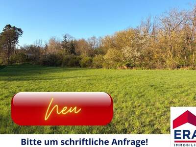 Gewerbeobjekt kaufen in 2191 Gaweinstal (Bild 1)