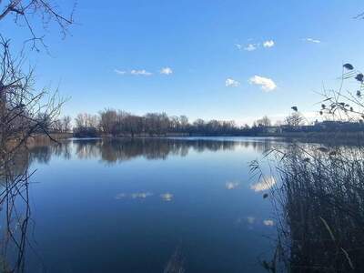 Wohnung provisionsfrei mieten in 2351 Wiener Neudorf