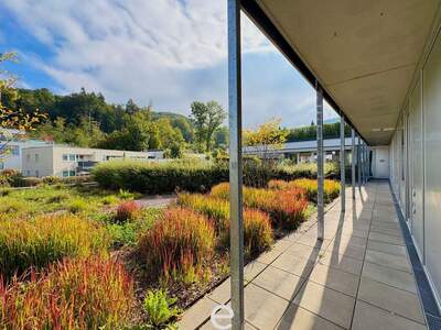 Gewerbeobjekt mieten in 5061 Elsbethen (Bild 4)