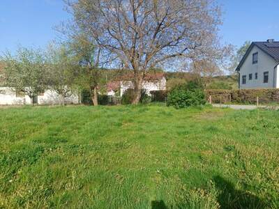 Grundstück kaufen in 7542 Gerersdorf (Bild 3)