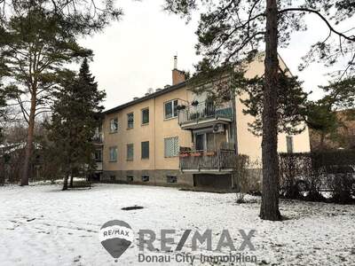 Wohnung kaufen in 2362 Biedermannsdorf (Bild 2)