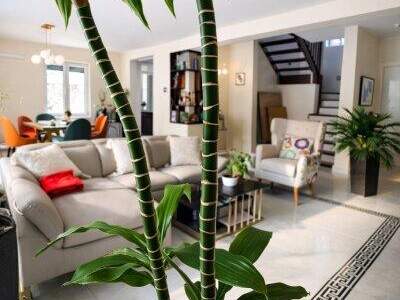 Einfamilienhaus kaufen in 1220 Wien (Bild 3)