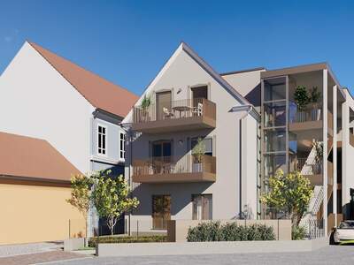 Office / Business kaufen in 8160 Steiermark