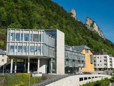 Terrassenwohnung mieten in 5400 Hallein (Bild 1)