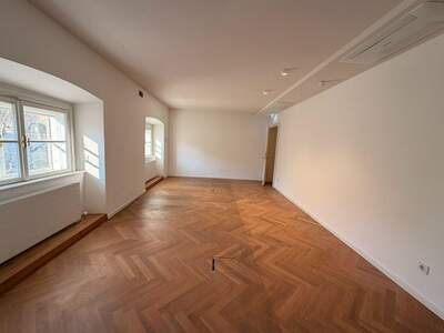 Gewerbeobjekt mieten in 1010 Wien (Bild 3)