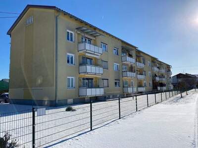 Wohnung mieten in 4230 Pregarten
