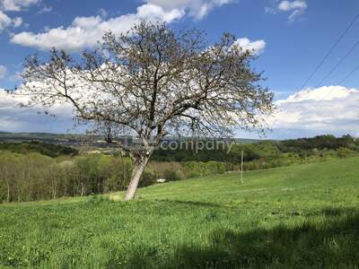 Haus kaufen in 8382 Weichselbaum (Bild 2)