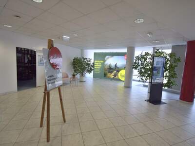 Gewerbeobjekt mieten in 4040 Linz (Bild 3)