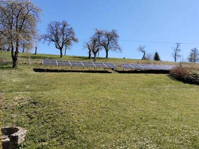 Grundstück kaufen in 4502 Sankt Marien (Bild 4)