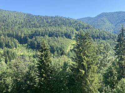 Wohnung kaufen in 2680 Semmering (Bild 3)
