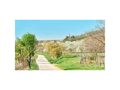 Eigentumswohnung in 7082 Donnerskirchen