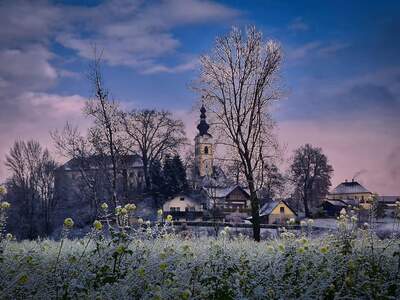 Haus kaufen in 9131 Grafenstein (Bild 1)