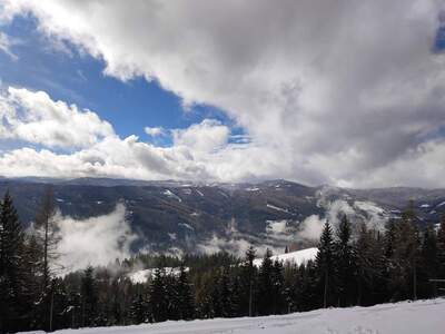 Grundstück kaufen in 8742 Obdach