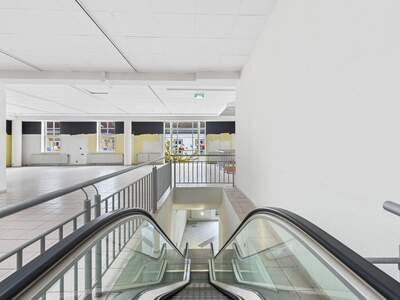 Gewerbeobjekt mieten in 2700 Wiener Neustadt (Bild 4)