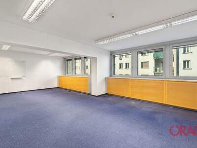 Gewerbeobjekt mieten in 1040 Wien (Bild 5)