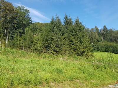 Grundstück kaufen in 3153 Eschenau (Bild 1)