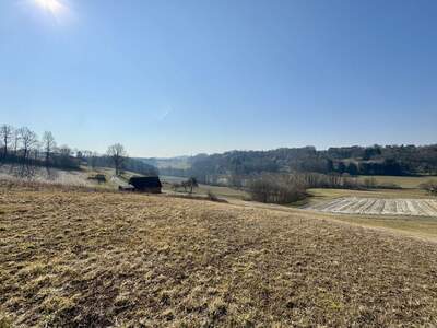 Grundstück kaufen in 8380 Henndorf