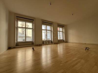 Gewerbeobjekt mieten in 1010 Wien (Bild 3)