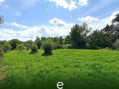 Haus mit Garten kaufen in 4675 Weibern (Bild 5)