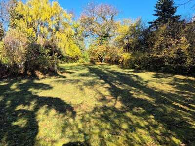 Grundstück kaufen in 2102 Klein (Bild 2)