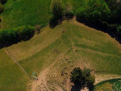 Gewerbeobjekt kaufen in 8451 Gamlitz (Bild 3)