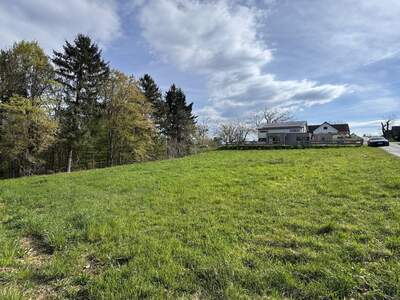 Grundstück kaufen in 8452 Großklein (Bild 4)