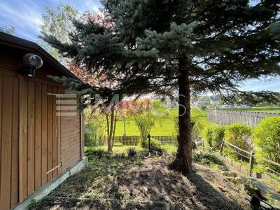 Einfamilienhaus kaufen in 2123 Hautzendorf (Bild 2)