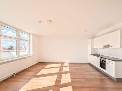 Gewerbeobjekt mieten in 1230 Wien (Bild 4)